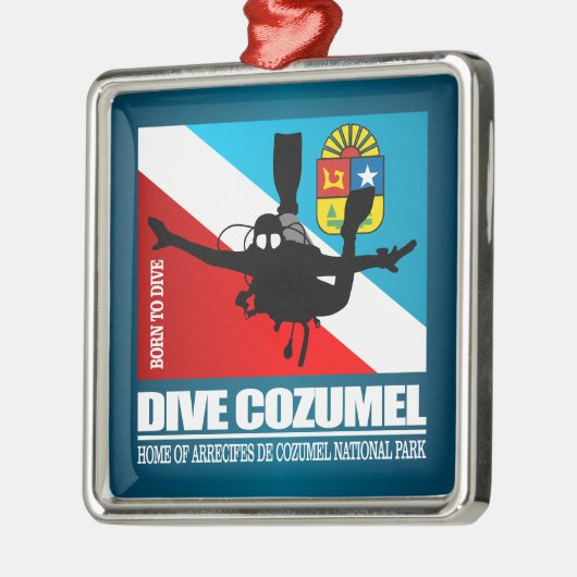 Dive Cozumel DF2 Metalen Ornament (Links)