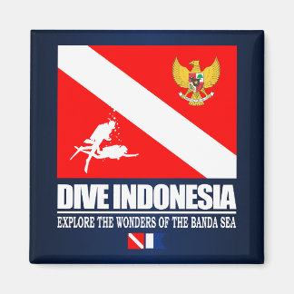Dive Indonesia Magneet