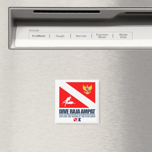 Dive Raja Ampat Magneet (Insitu (Vaatwasser))