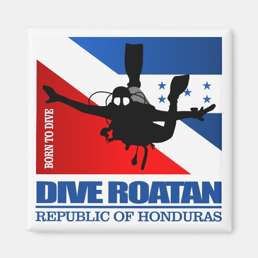 Dive Roatan DF2 Magneet (Voorkant)