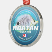 Dive Roatan Island (DD2) Metalen Ornament (Links)