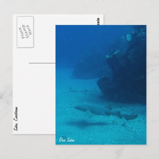 Dive Saba briefkaart-Zenuwhaai Briefkaart (Voorkant / Achterkant)