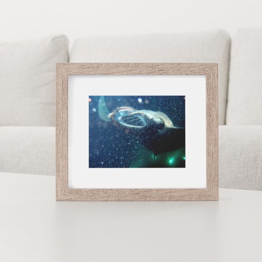 Dive with the Manta Rays - The Big Island Poster