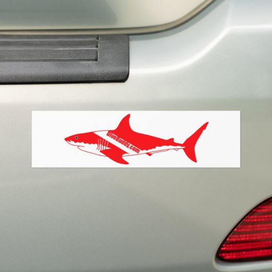 DiveBuddy.com Shark Sticker (Op auto)