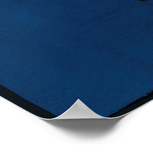 Diver 2011 poster (Hoek)