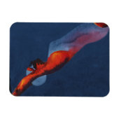 Diver 2 magneet (Horizontaal)