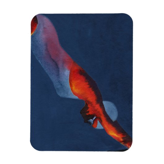 Diver 2 magneet (Verticaal)