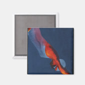 Diver 2 magneet (Voorkant / Achterkant)