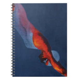 Diver 2 notitieboek