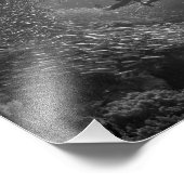 Diver gevangen in baitball vortex foto afdruk (Hoek)