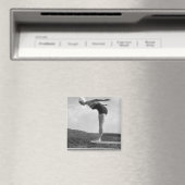 Diver Magneet (Insitu (Vaatwasser))