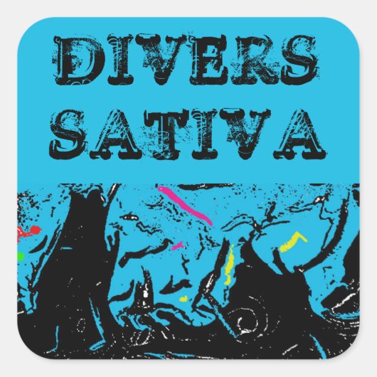 DIVERS SATIVA VIERKANTE STICKER (Voorkant)