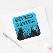 DIVERS SATIVA VIERKANTE STICKER (Envelop)