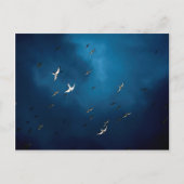 Diverse - Arctic Tern & Blue Sky Pattern Briefkaart (Voorkant)