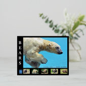 Diverse beren folie feestdagen briefkaart (Staand Voorkant)