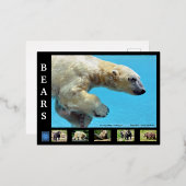 Diverse beren folie feestdagen briefkaart (Voorkant / Achterkant)