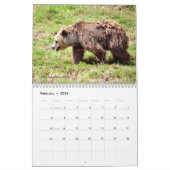 Diverse beren kalender voor twaalf maanden (Feb 2026)