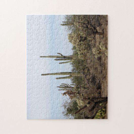 Diverse Cacti Legpuzzel (Verticaal)