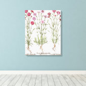 Diverse Dianthus-variëteiten uit de "Hortus Ey" Canvas Afdruk (Insitu (Houten vloer))
