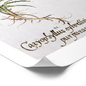 Diverse Dianthus-variëteiten uit de "Hortus Ey" Poster (Hoek)