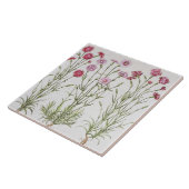 Diverse Dianthus-variëteiten uit de "Hortus Ey" Tegeltje (Zijkant)