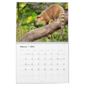 Diverse dieren in Zuid-Amerika: 12-maandkalender Kalender (Feb 2026)