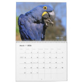 Diverse dieren in Zuid-Amerika: 12-maandkalender Kalender (Mar 2026)