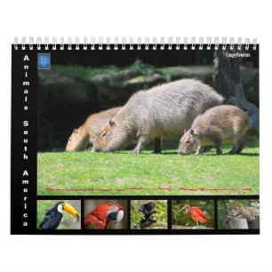 Diverse dieren in Zuid-Amerika: 12-maandkalender Kalender