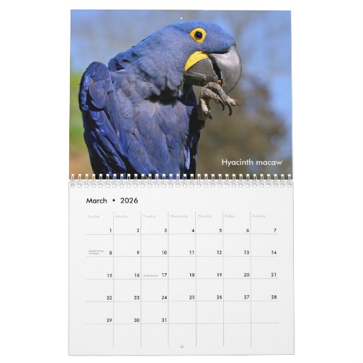 Diverse dieren van de kalender van Zuid-Amerika (Mar 2026)