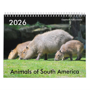 Diverse dieren van de kalender van Zuid-Amerika