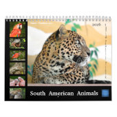 Diverse dieren van de kalender van Zuid-Amerika (Hoes)