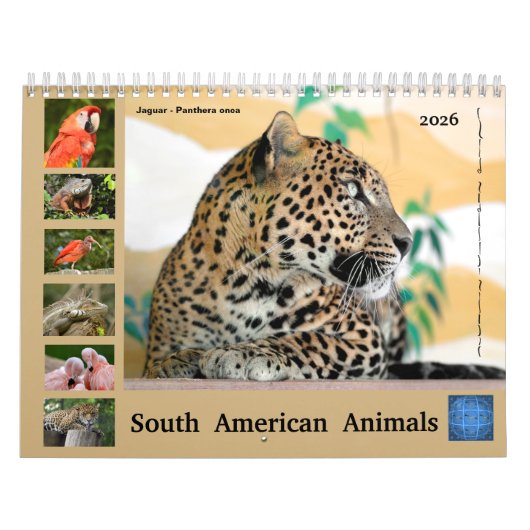 Diverse dieren van de kalender van Zuid-Amerika (Hoes)