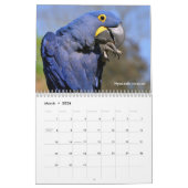 Diverse dieren van de kalender van Zuid-Amerika (Mar 2026)