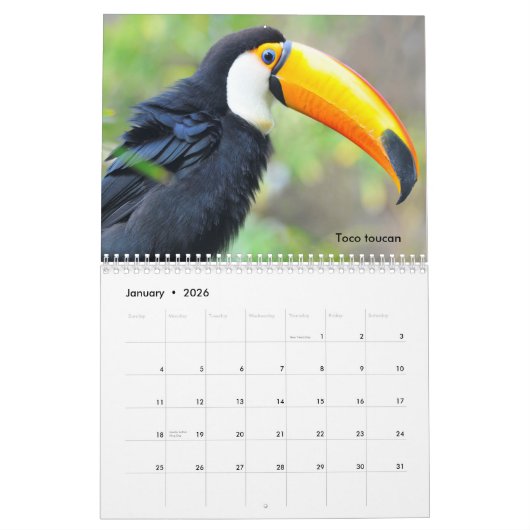 Diverse dieren van de kalender van Zuid-Amerika (Jan 2026)