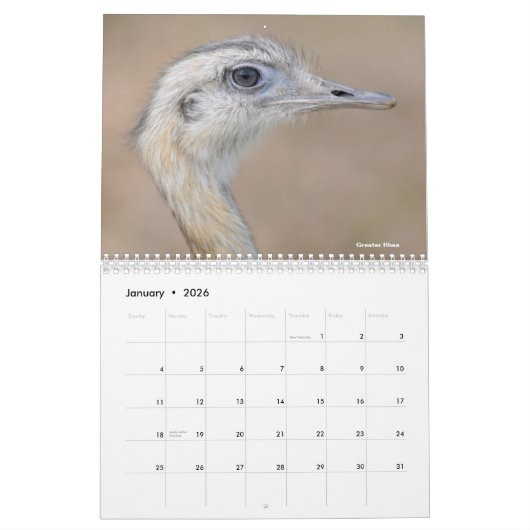 Diverse dieren van de kalender van Zuid-Amerika (Jan 2026)