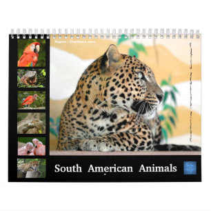 Diverse dieren van de kalender van Zuid-Amerika