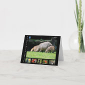 Diverse dieren van Zuid-Amerika Bedankkaart (Voorkant)