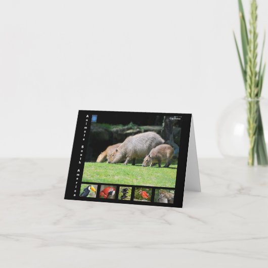 Diverse dieren van Zuid-Amerika Bedankkaart (Voorkant)