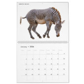 Diverse geïsoleerde dieren in 2023 kalender (Jan 2026)