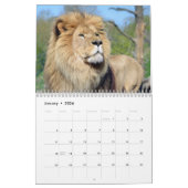 Diverse grote katten-achtige kalender van 12 maand (Jan 2026)