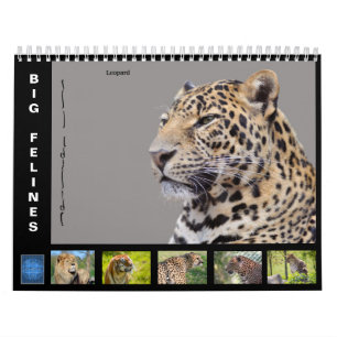 Diverse grote katten-achtige kalender van 12 maand