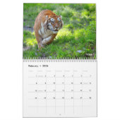 Diverse grote kattenachtige kalender (Feb 2026)