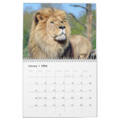 Diverse grote kattenachtige kalender (Jan 2026)