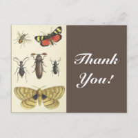 Diverse insecten + "Dank u!",  blik