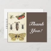 Diverse insecten + "Dank u!",  blik Briefkaart (Voorkant / Achterkant)