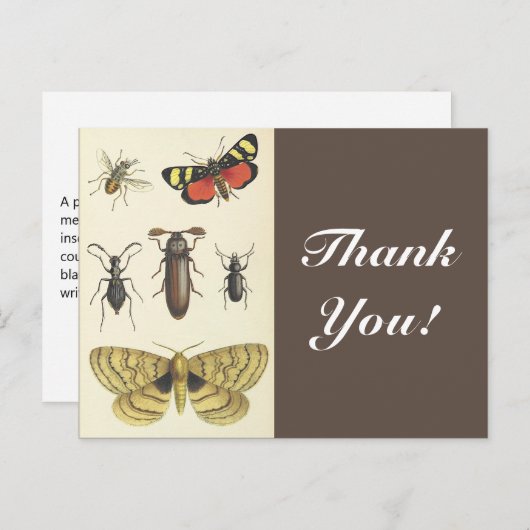 Diverse insecten + "Dank u!",  blik Briefkaart (Voorkant / Achterkant)