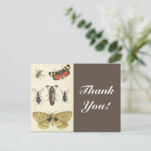 Diverse insecten + "Dank u!",  blik Briefkaart (Staand voorkant)