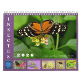 Diverse insecten, kalender van 12 maanden (Hoes)