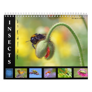 Diverse insecten, kalender van 12 maanden