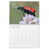 Diverse insecten, kalender van 12 maanden (Jan 2026)